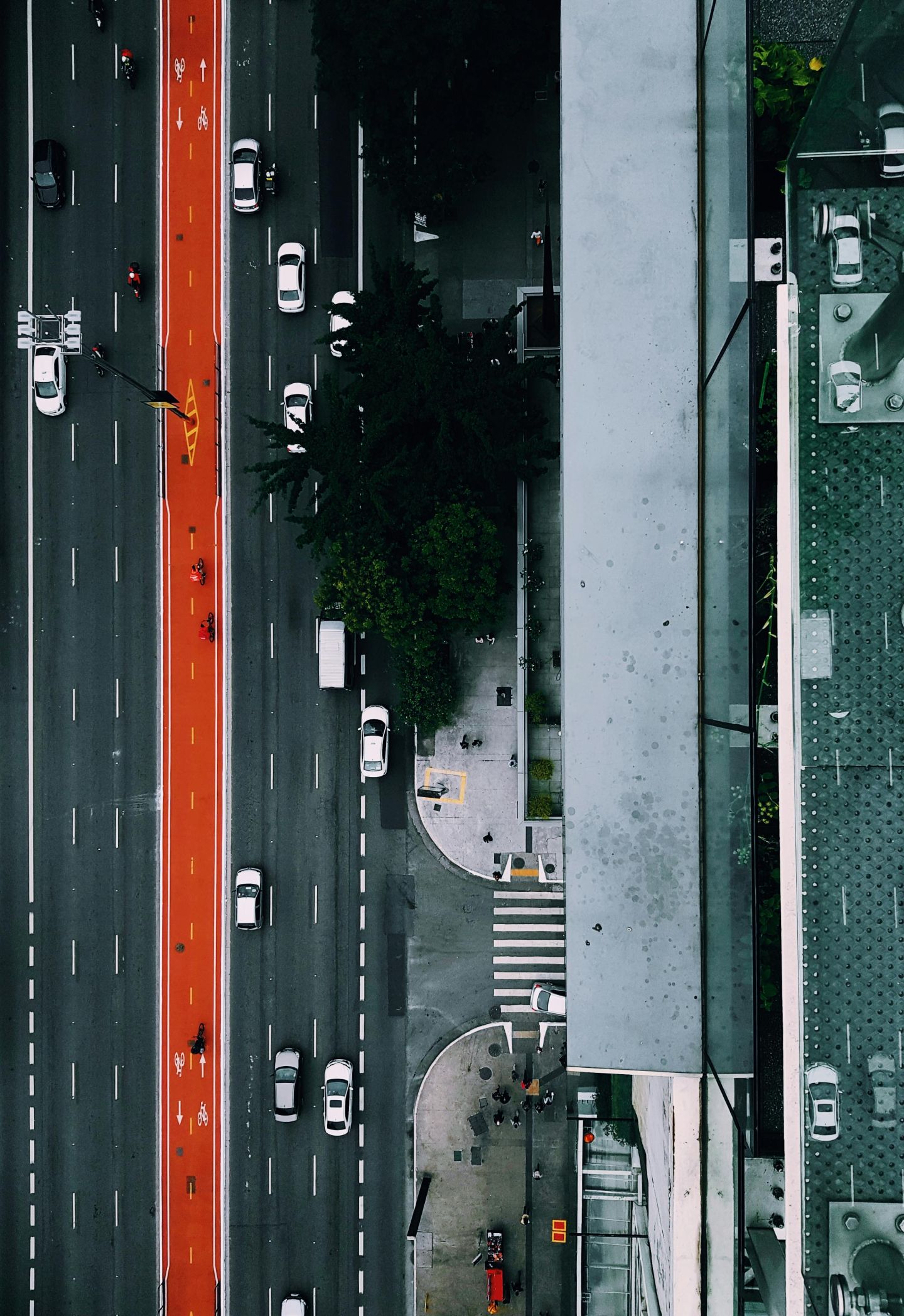 pexels-oandremoura-6105554